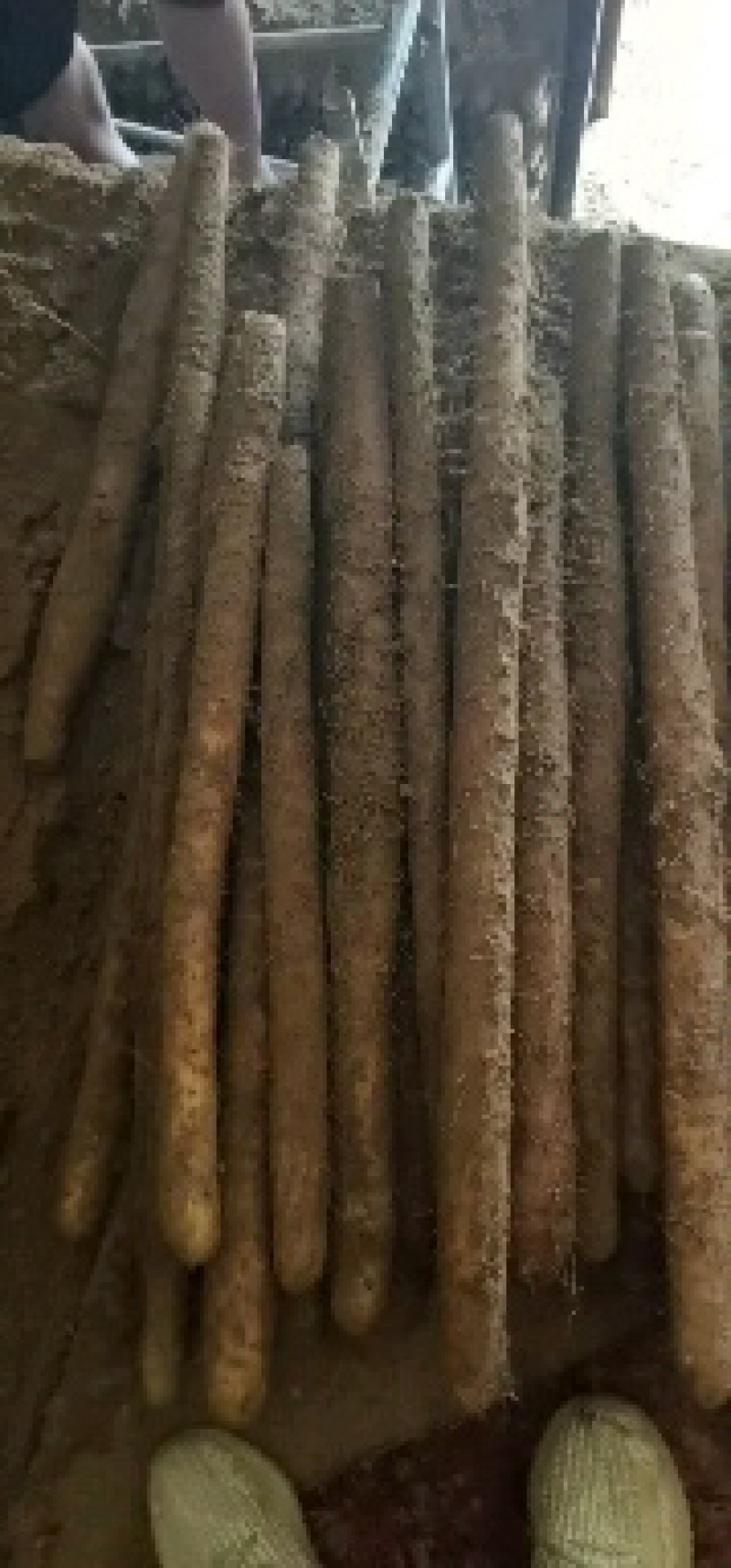 白玉山药，软糯香甜，量大从优