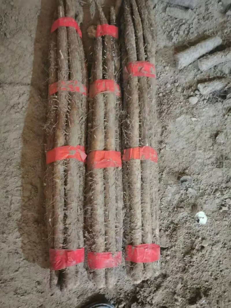 白玉山药，软糯香甜，量大从优