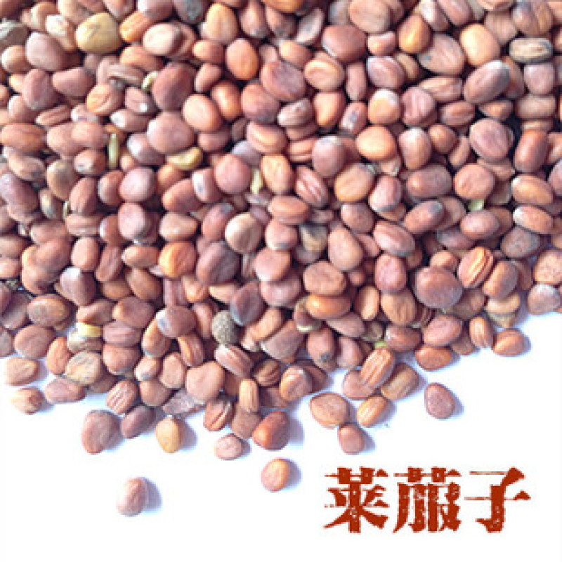 莱菔子，炒莱菔子，萝卜籽现货供应欢迎咨询合作！