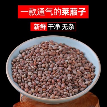 莱菔子，炒莱菔子，萝卜籽现货供应欢迎咨询合作！