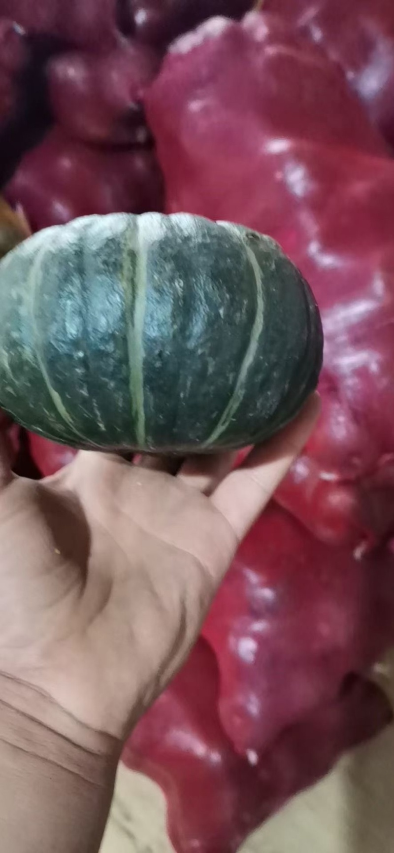 贝贝南瓜