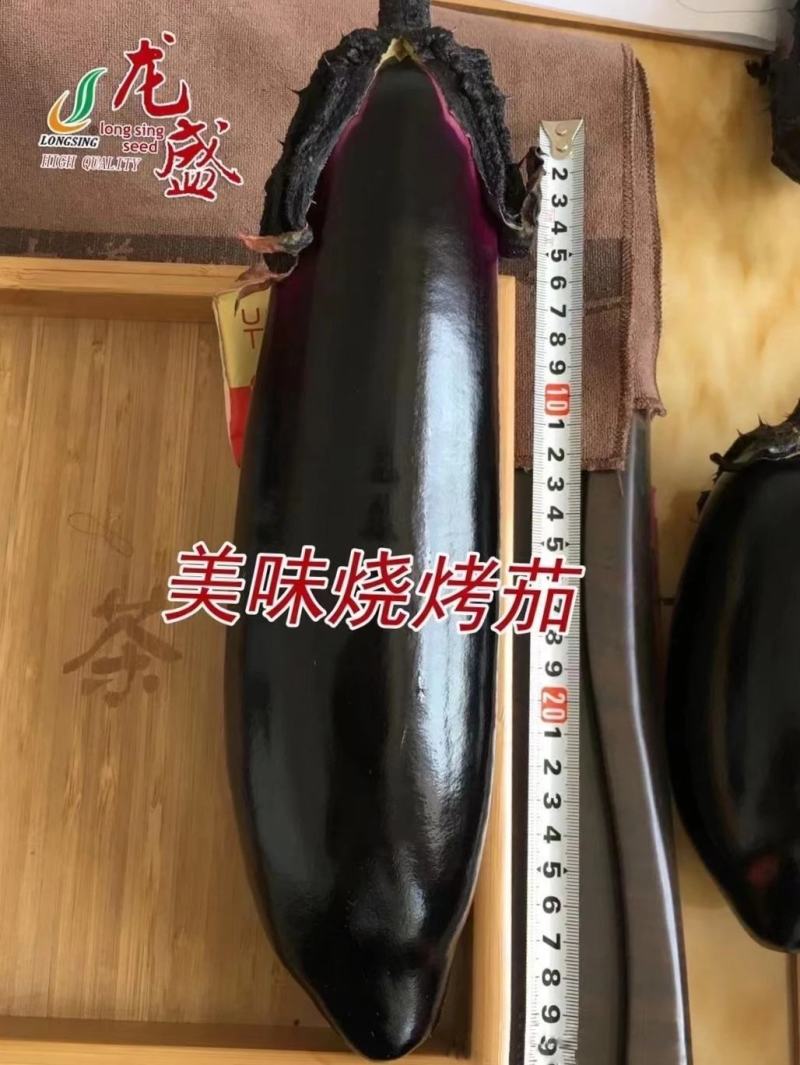 美味烧烤茄种子早熟杂交新品种果实粗棒顺直卖相好茄子种子