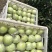 精品王林苹果大量上市口感脆甜价格便宜，速来抢购