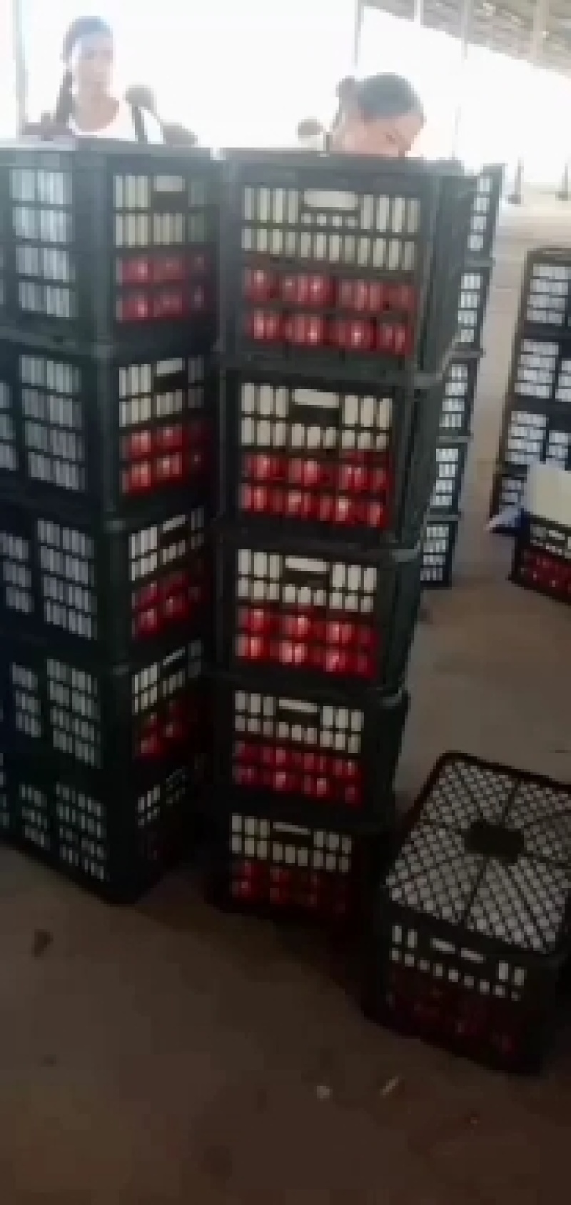 精品粉果