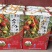 【山东冬枣】大量上市，9元一件代发，自由市场，诚信代办