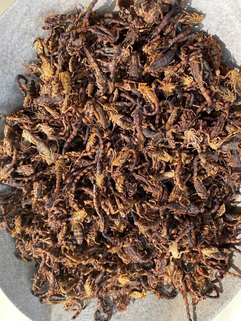 全蝎，蝎子活体清水煮，货全干，没有加重粉，不掺假，肚瘪