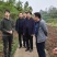 油桐树苗批发，买油桐树苗，就找重庆俊尧