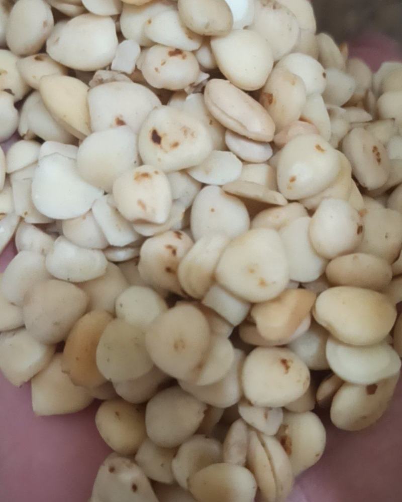 杏仁苦杏仁去皮炒苦杏仁中药材批发杏仁质量保证