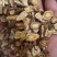 前胡信前胡中药材批发前胡产地直销质量保证