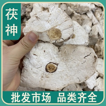 中药材茯神货品质量保证批发各种中药材