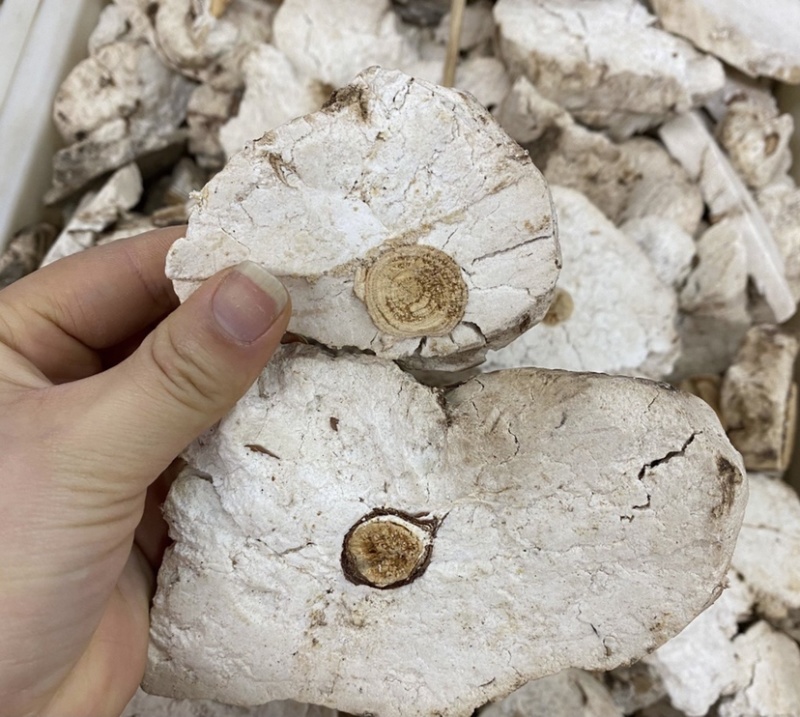 中药材茯神货品质量保证批发各种中药材