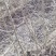 杜梨苗-多次断根移栽苗，根系发达，现挖现发，保湿发货。
