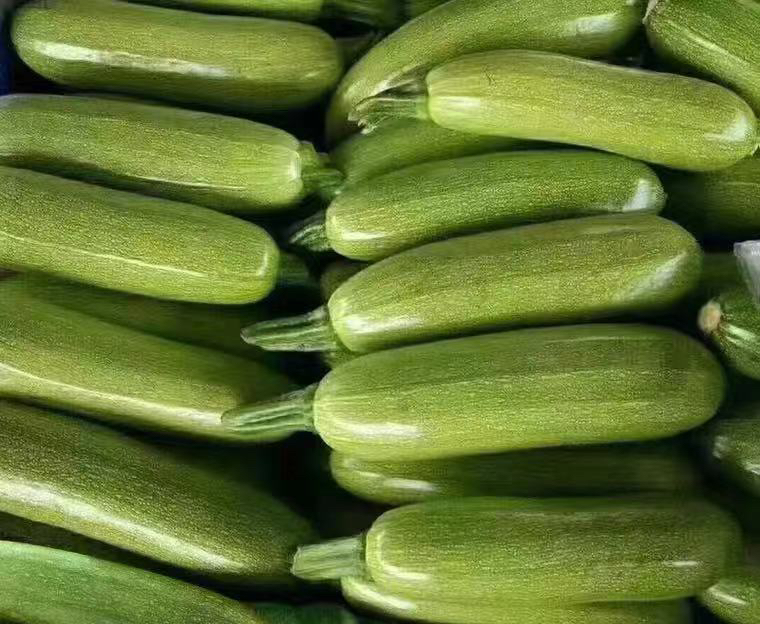 一个露天农贸市场摊位上整齐码放着大量新鲜西葫芦,颜色从浅绿到深绿不等,部分还带着未脱落的花蒂,摊主正在整理货架,背景有顾客挑选蔬菜,环境明亮整洁 市场中售卖的新鲜西葫芦