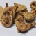 白芨白芨个三叉白芨中药材批发白芨质量保证