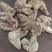 白芨白芨个三叉白芨中药材批发白芨质量保证