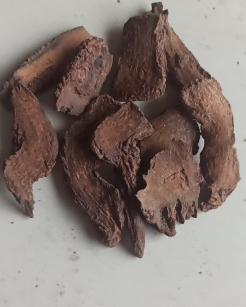 锁阳锁阳个锁阳片泡酒泡茶中药材批发锁阳产地直销