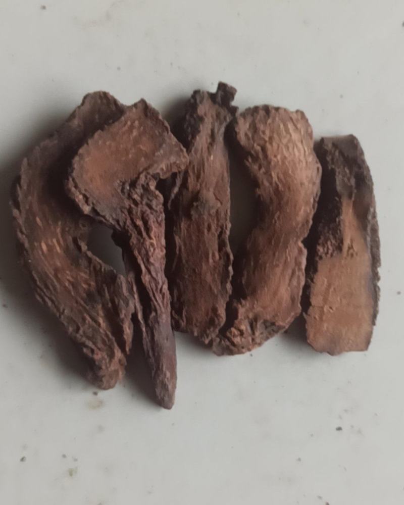 锁阳锁阳个锁阳片泡酒泡茶中药材批发锁阳产地直销