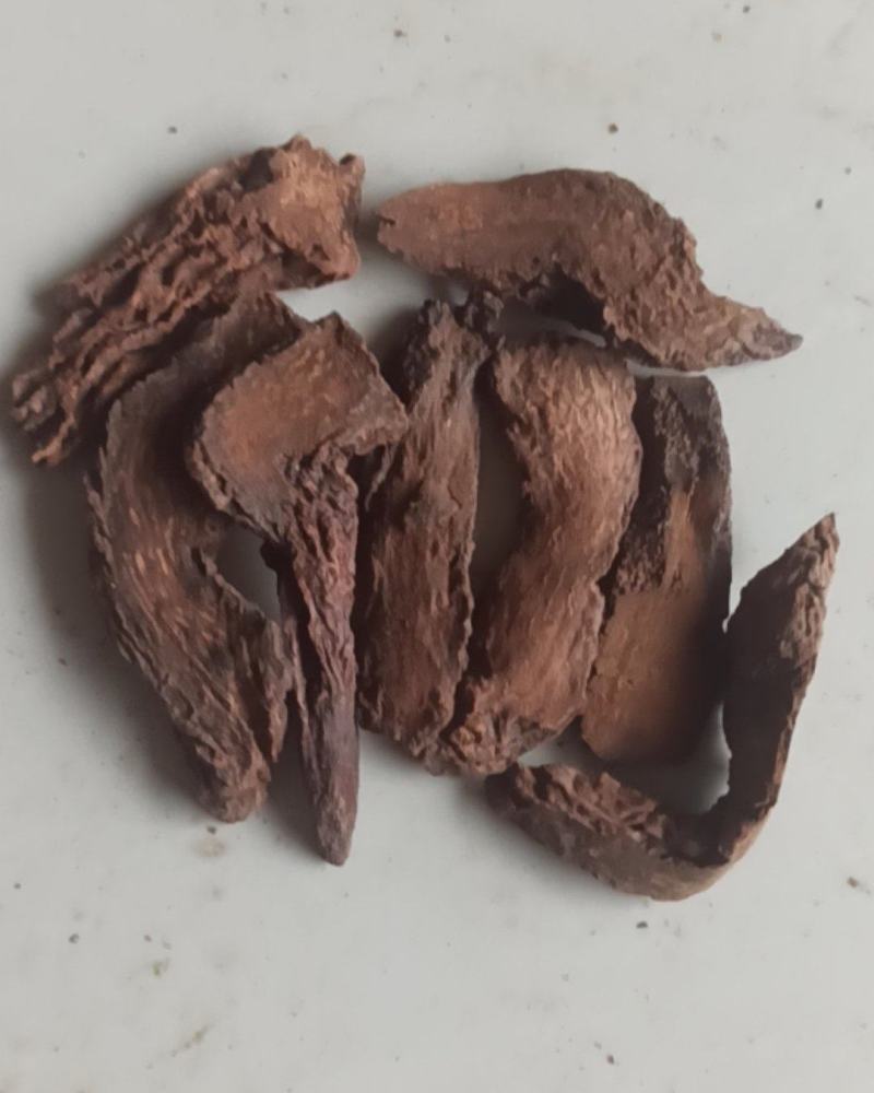 锁阳锁阳个锁阳片泡酒泡茶中药材批发锁阳产地直销