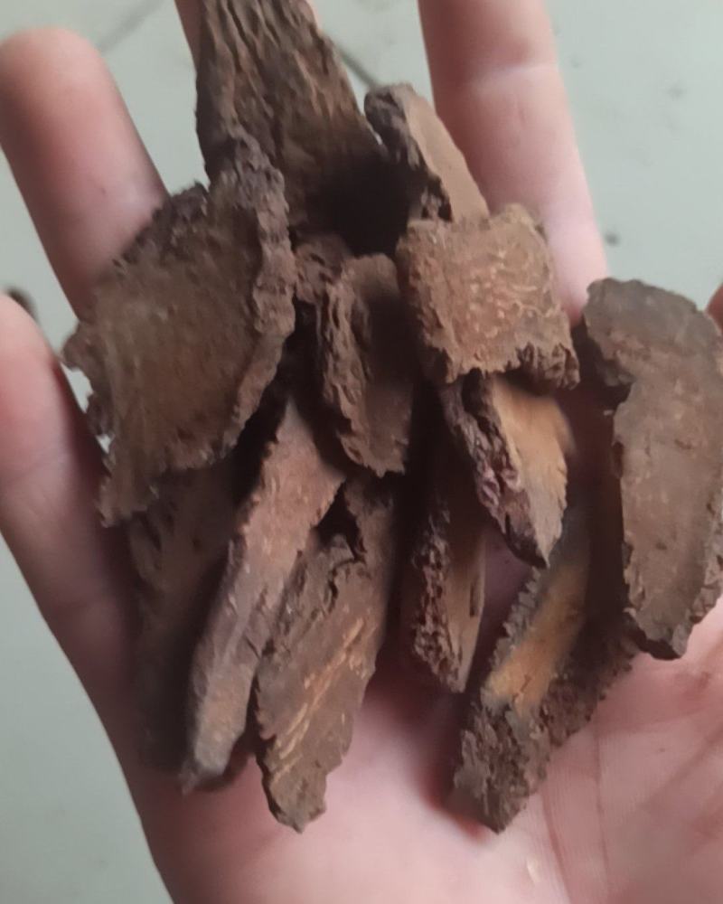 锁阳锁阳个锁阳片泡酒泡茶中药材批发锁阳产地直销