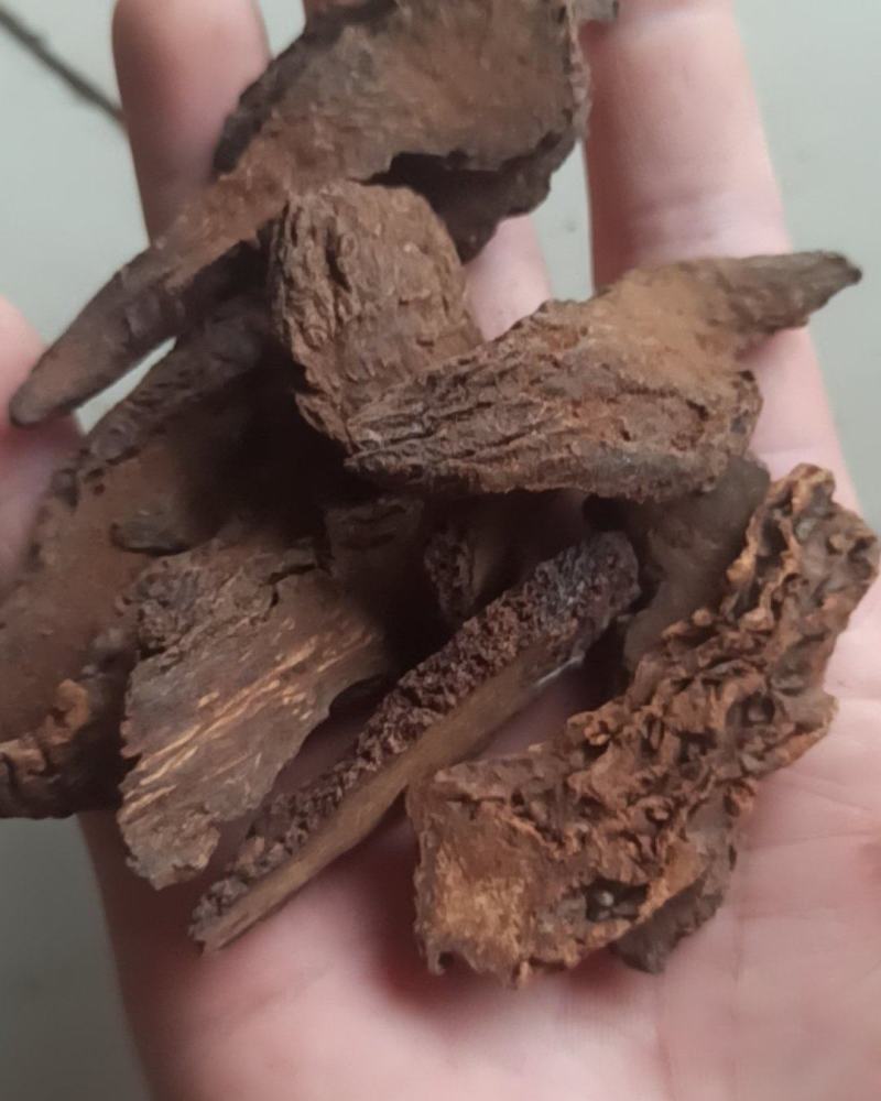 锁阳锁阳个锁阳片泡酒泡茶中药材批发锁阳产地直销