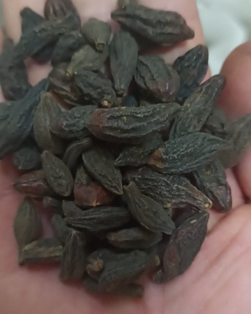 青果西青果中药材批发西青果产地直销质量保证