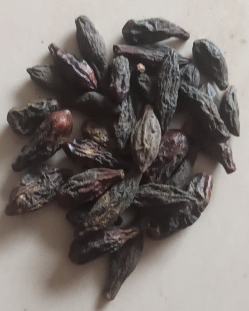 青果西青果中药材批发西青果产地直销质量保证