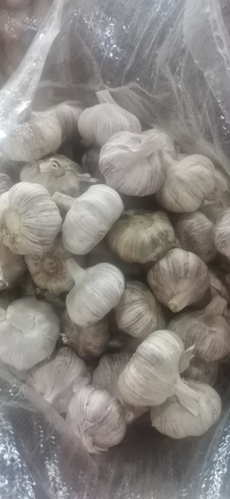 大蒜金乡优质大蒜紫皮大蒜支持各种包装量大价美