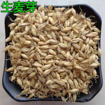 麦芽，生大麦芽发芽率高质量保证现货供应欢迎咨询合作