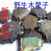 木鳖子，木别子，木鳖子仁质量保证现货供应欢迎咨询合作！