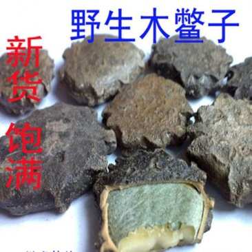 木鳖子，木别子，木鳖子仁质量保证现货供应欢迎咨询合作！