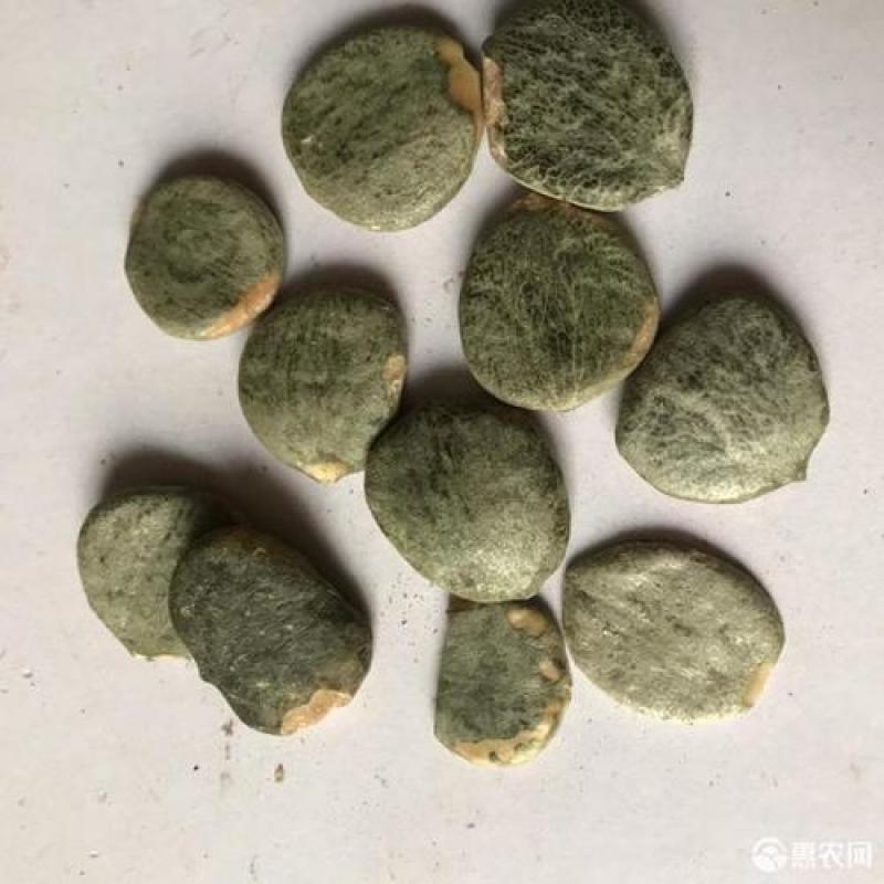 木鳖子，木别子，木鳖子仁质量保证现货供应欢迎咨询合作！
