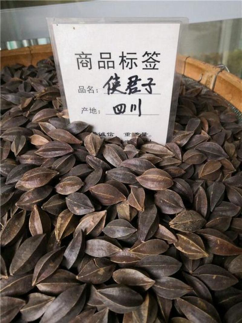 使君子，使君子仁新货果仁饱满质量保证现货供应欢迎咨询合作