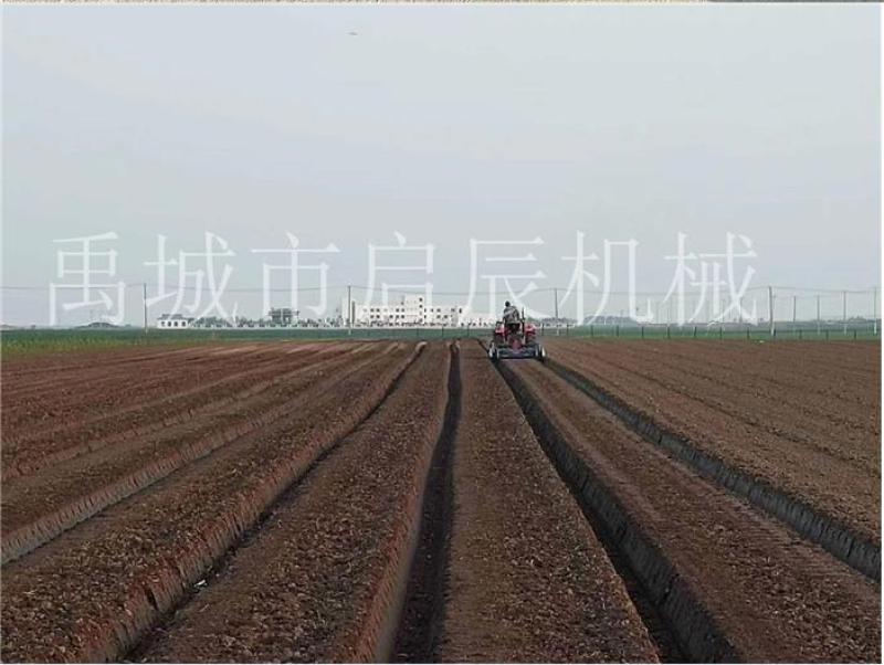 拖拉机配套蔬菜起垄机薯类豆类旋耕起垄机生姜大蒜开沟机