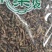 款冬花干货中药材量大从优欢迎选购