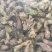 款冬花干货中药材量大从优欢迎选购