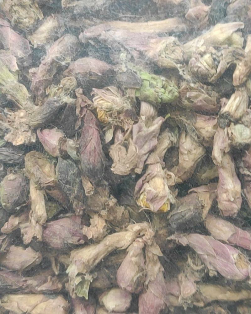 款冬花干货中药材量大从优欢迎选购