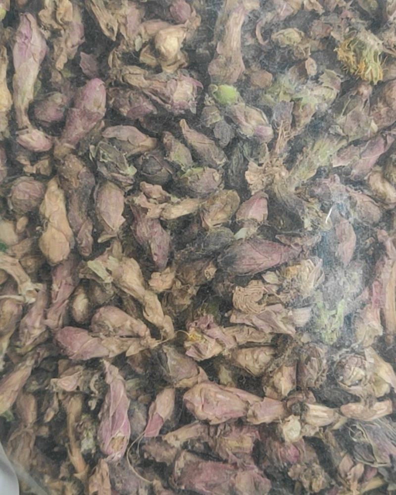 款冬花干货中药材量大从优欢迎选购