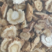 北沙参主营河北切片北沙参干净无杂质量大从优