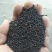 王不留行，生王不留新货质量保证现货供应欢迎咨询合作！