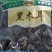 出售野外黑木耳
