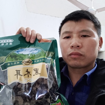 出售野外黑木耳
