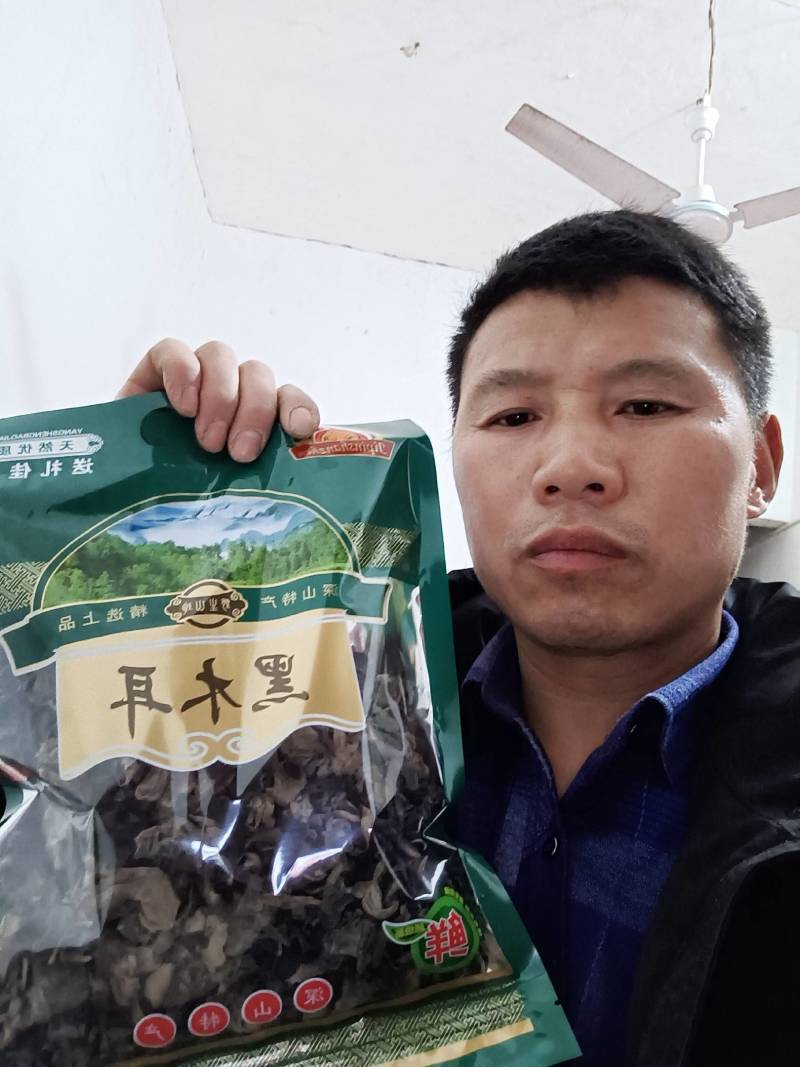 出售野外黑木耳