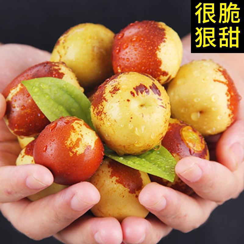 【鲜枣】陕西大荔冬枣大量上市价格优惠可视频看货