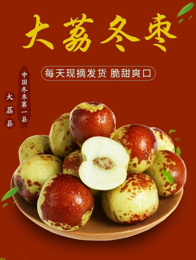 【鲜枣】陕西大荔冬枣大量上市价格优惠可视频看货