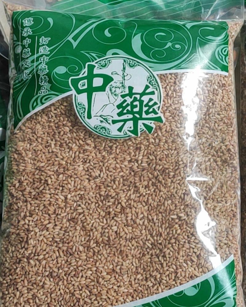 柏子仁干货柏子仁常年经营各种中药材