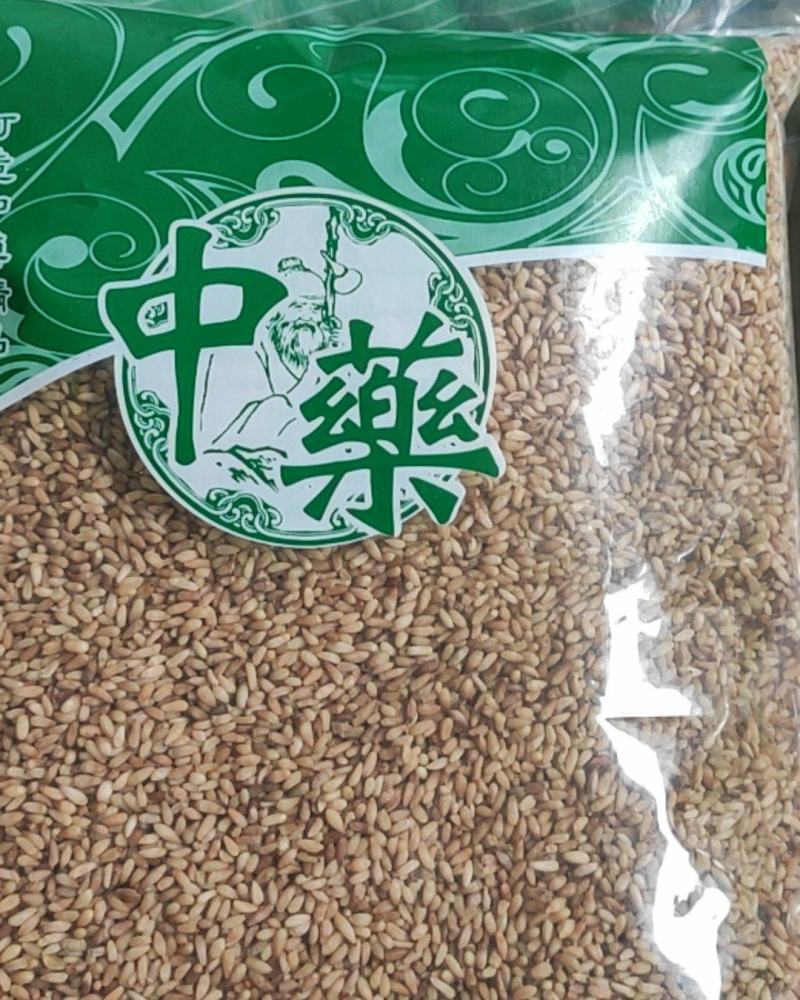 柏子仁干货柏子仁常年经营各种中药材