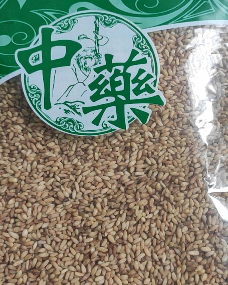 柏子仁干货柏子仁常年经营各种中药材