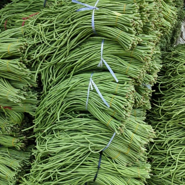 乐昌长豆角.酸豆角大量上市