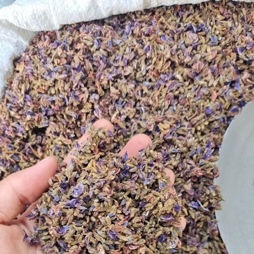 野葛花小花