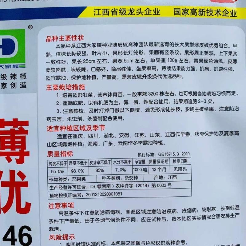 大家族薄优146大果薄皮椒种子长果大果灯笼形辣椒种子高产